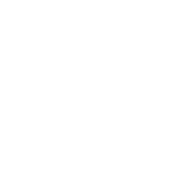 Favicon Blanco